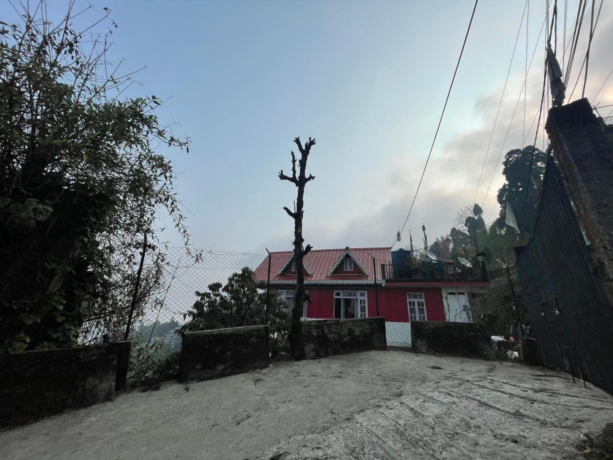 Zorba Darjeeling * Darjeeling (West Bengal)